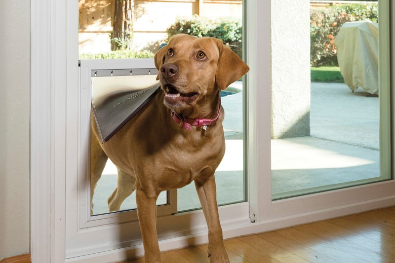 Doggie Doors, Patio Door Replacement, Replacement Patio Doors