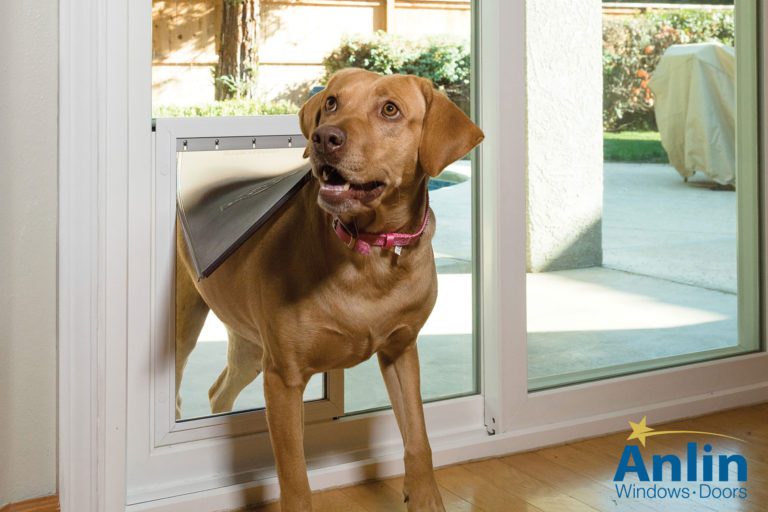 Sliding Glass Door Replacement, Replacement Patio Doors, Patio Door Replacement, Pet Doors